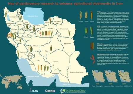 Participatory research to enhance agricultural biodiversity in Iran