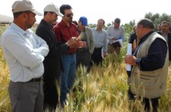 Deputy Minister of Agriculture visits PPB sites in Garmsar